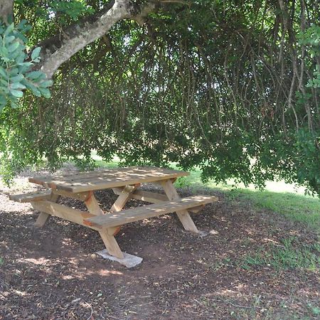 Can Porreti Agroturisme Lloret de Vistalegre Extérieur photo