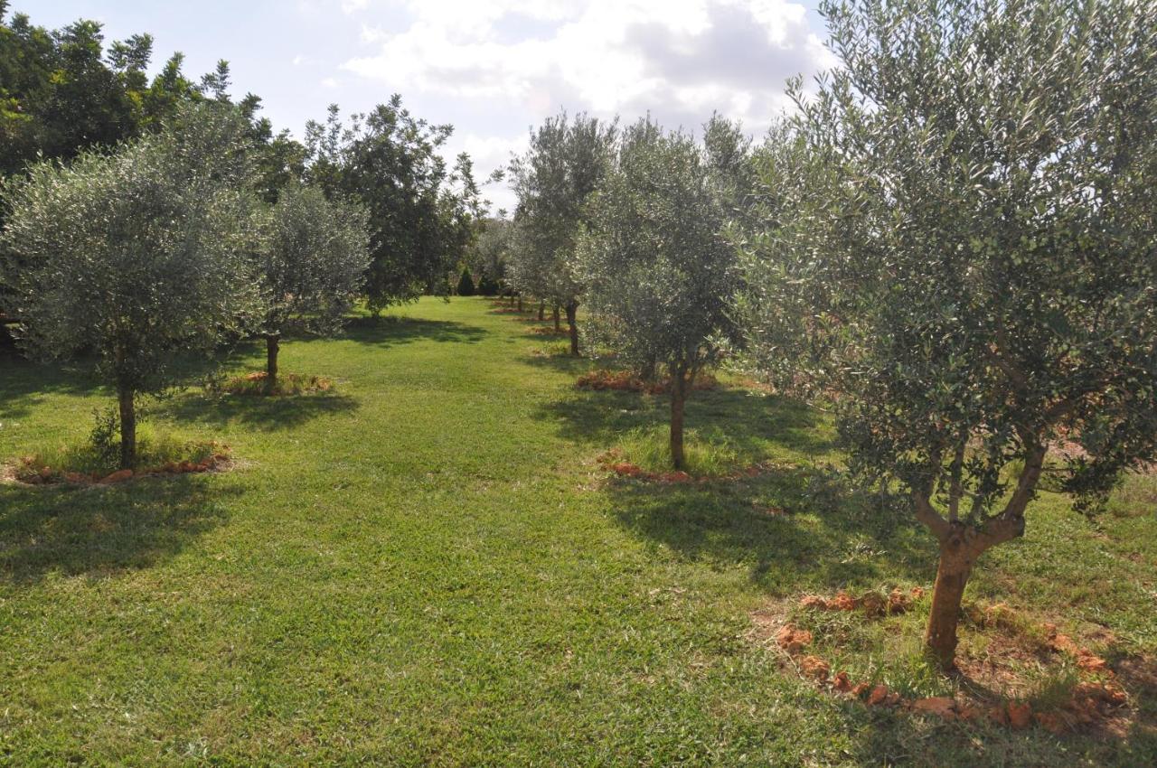 Can Porreti Agroturisme Lloret de Vistalegre Extérieur photo